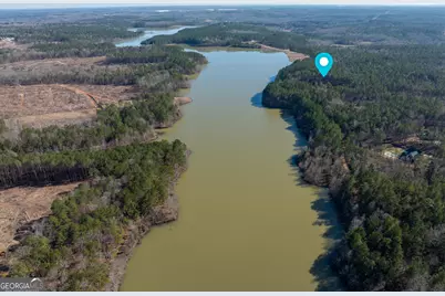 136 Sam Solomon Road, Locust Grove, GA 30248 - Photo 17