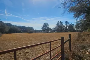 969 Mosley Rd, Claxton, GA 30417 - Photo 15