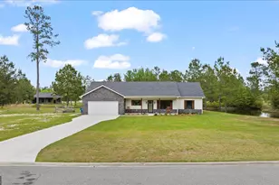 252 Big Horse Dr, Waynesville, GA 31566 - Photo 1