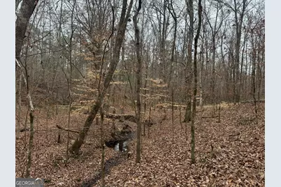 226.04+/-Ac Kingsboro Road, Hamilton, GA 31811 - Photo 17