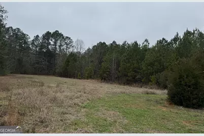 226.04+/-Ac Kingsboro Road, Hamilton, GA 31811 - Photo 15