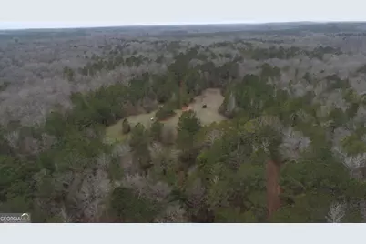 226.04+/-Ac Kingsboro Road, Hamilton, GA 31811 - Photo 7