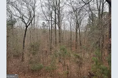 226.04+/-Ac Kingsboro Road, Hamilton, GA 31811 - Photo 19