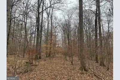 226.04+/-Ac Kingsboro Road, Hamilton, GA 31811 - Photo 11