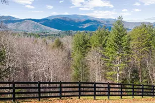 98 S Saddleback Trail, Blue Ridge, GA 30513 - Photo 59