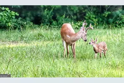 98 S Saddleback Trail, Blue Ridge, GA 30513 - Photo 65