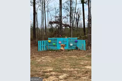 150 Long Pines Circle, East Dublin, GA 31027 - Photo 33