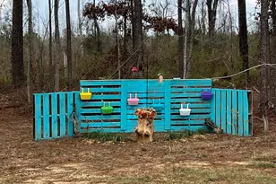 150 Long Pines Cir, East Dublin, GA 31027 - Photo 33