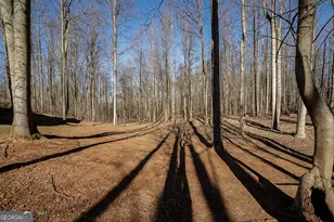 88 Fair Oaks Ct, Commerce, GA 30529 - Photo 41