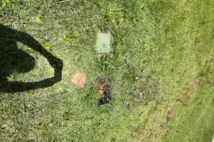 491 Cavender Creek Rd, Carrollton, GA 30116 - Photo 3