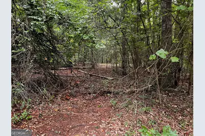 410 Irvin Road, Thomaston, GA 30286 - Photo 41