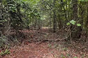 410 Irvin Rd, Thomaston, GA 30286 - Photo 41