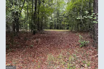 410 Irvin Road, Thomaston, GA 30286 - Photo 43