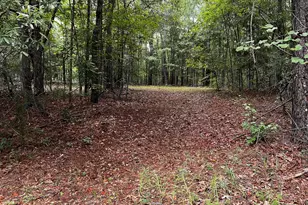 410 Irvin Rd, Thomaston, GA 30286 - Photo 43