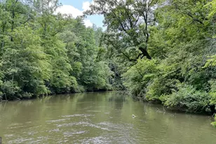 243 Chattahoochee Acres Dr, Cleveland, GA 30528 - Photo 57