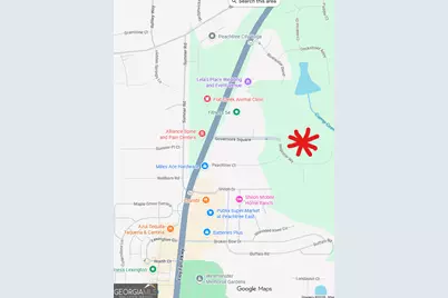 210 Regester Way #LOT 42, Peachtree City, GA 30269 - Photo 21