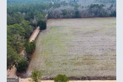 0 Floyd Road #LOT 7, Pembroke, GA 31321 - Photo 5