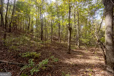 2690 E Lawson Merritt Road, Fort Valley, GA 31030 - Photo 19