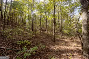 2690 E Lawson Merritt Rd, Fort Valley, GA 31030 - Photo 19