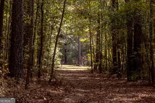 2690 E Lawson Merritt Rd, Fort Valley, GA 31030 - Photo 17