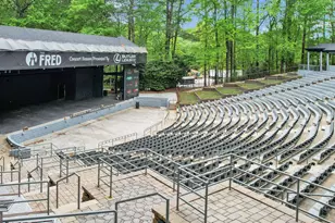 344 Aster Ridge Trail, Peachtree City, GA 30269 - Photo 63