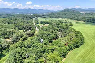 1215 Blue Ridge Hwy, Blairsville, GA 30512 - Photo 73