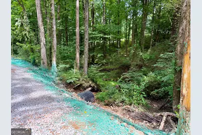 Tract 3 Hwy 51S, Homer, GA 30547 - Photo 21