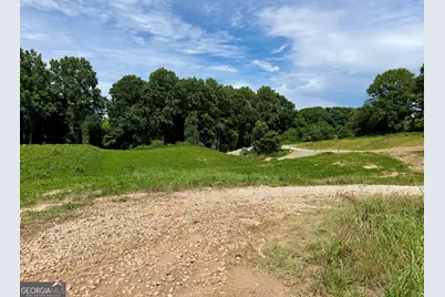 Tract 3 Hwy 51S, Homer, GA 30547 - Photo 3