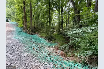 Tract 3 Hwy 51S, Homer, GA 30547 - Photo 23