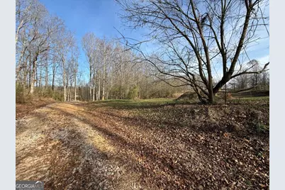 Tract 3 Hwy 51S, Homer, GA 30547 - Photo 9