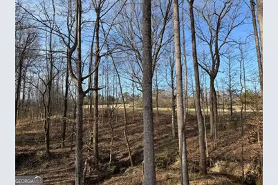 Tract 3 Hwy 51S, Homer, GA 30547 - Photo 21