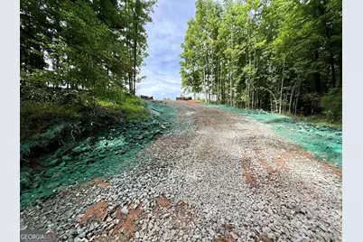 Tract 3 Hwy 51S, Homer, GA 30547 - Photo 25