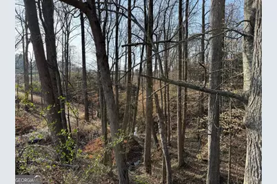 Tract 3 Hwy 51S, Homer, GA 30547 - Photo 23