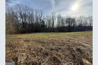 Tract 3 Hwy 51S, Homer, GA 30547 - Photo 19