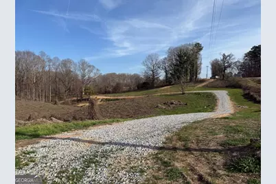 Tract 3 Hwy 51S, Homer, GA 30547 - Photo 5