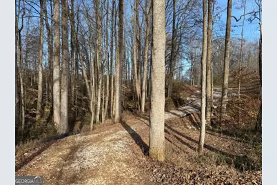 Tract 3 Hwy 51S, Homer, GA 30547 - Photo 7