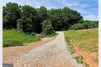 Tract 3 Hwy 51S, Homer, GA 30547 - Photo 7