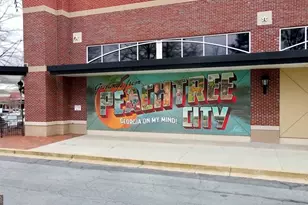 3042 State St, Peachtree City, GA 30269 - Photo 41