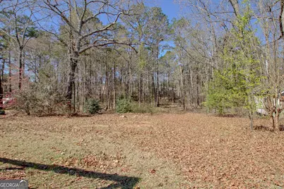 36 Cumberland Trail, Senoia, GA 30276 - Photo 39
