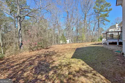 36 Cumberland Trail, Senoia, GA 30276 - Photo 37