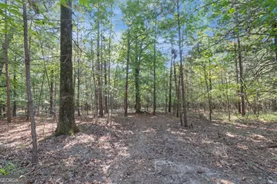 1750 Reids Ferry Road, Buckhead, GA 30625 - Photo 39