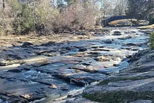 158 Rivers Edge Dr, Forsyth, GA 31029 - Photo 9