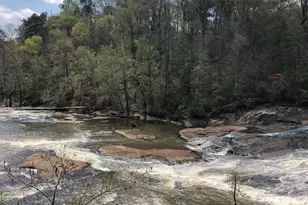 160 Rivers Edge Dr, Forsyth, GA 31029 - Photo 7