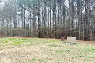 314 Hickory Rd, Jackson, GA 30233 - Photo 23