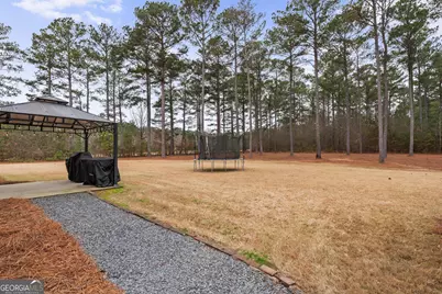 22 Fox Hall Crossing, Senoia, GA 30276 - Photo 51