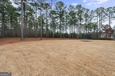 22 Fox Hall Crossing, Senoia, GA 30276 - Photo 53