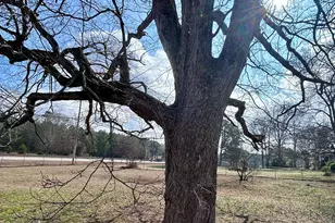 22 Meadow Chase Way, Palmetto, GA 30268 - Photo 17