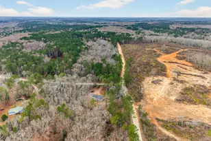 11 White Oak Trail, Carlton, GA 30627 - Photo 39