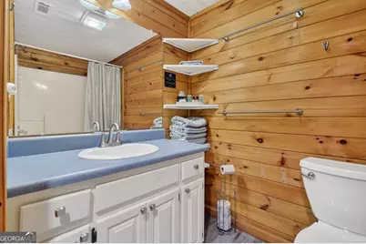 488 Jo Anne Sisson Road, Blue Ridge, GA 30513 - Photo 33