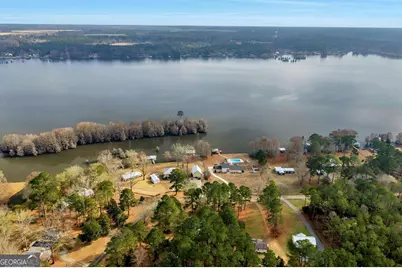 170 Gary Brewer Road, Cobb, GA 31735 - Photo 49